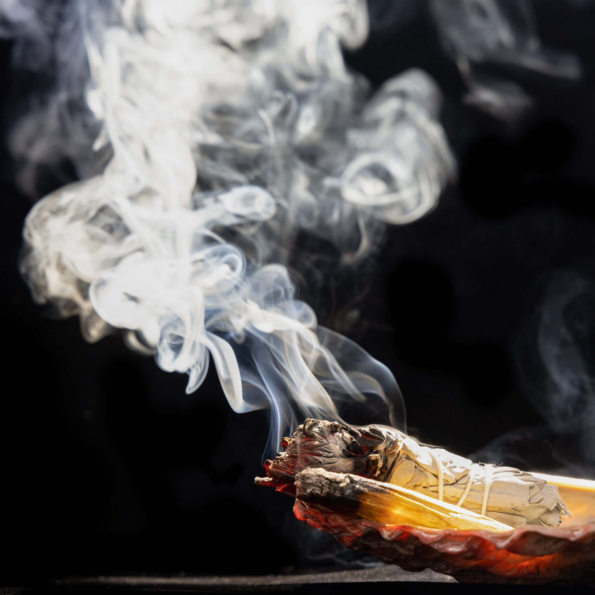 tobacco related diseases Second-hand smoke accounts for one in six deaths from tobacco-related  diseases, says study. str.sg/oqdb