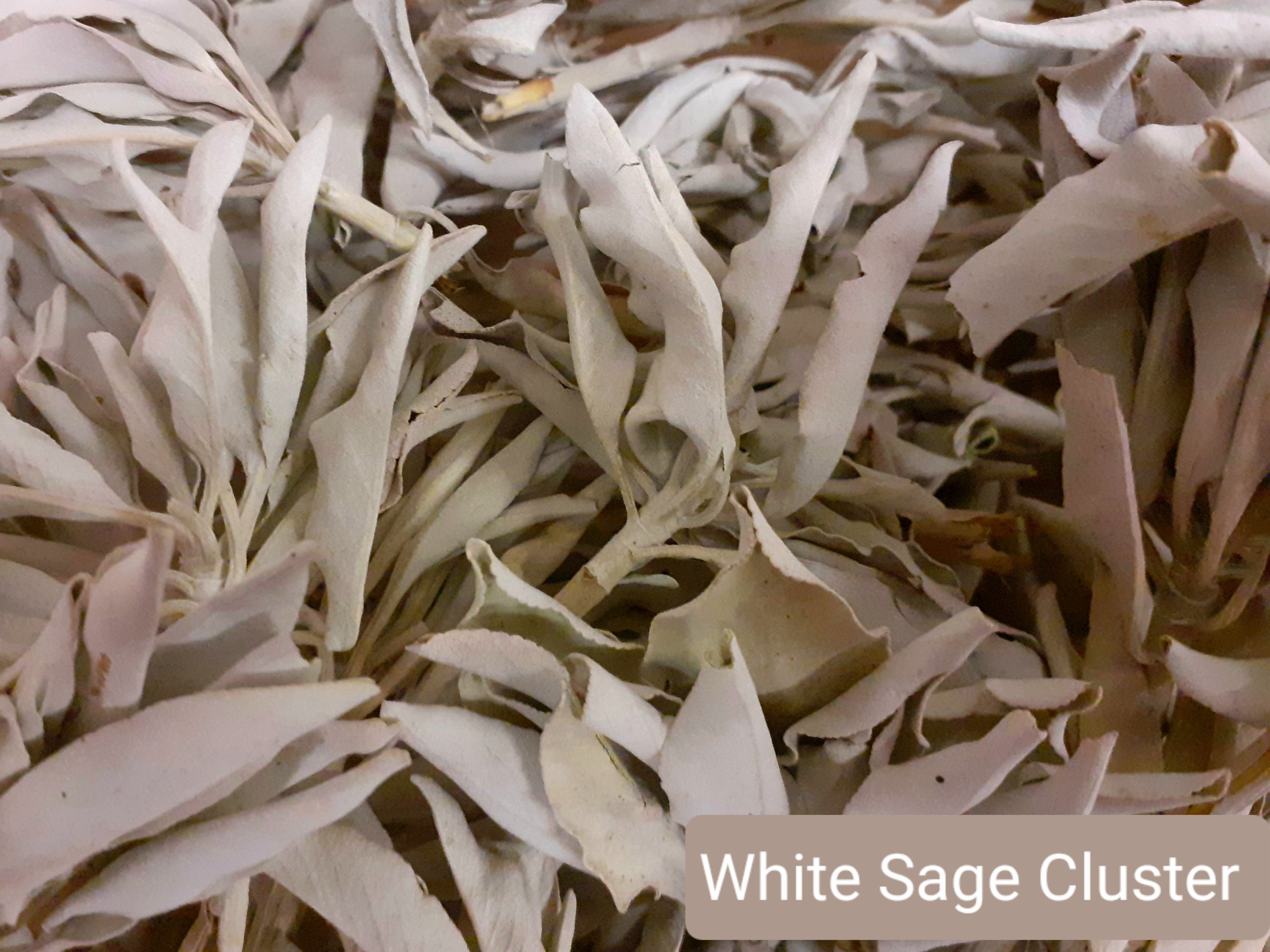 White Sage Clusters 25g