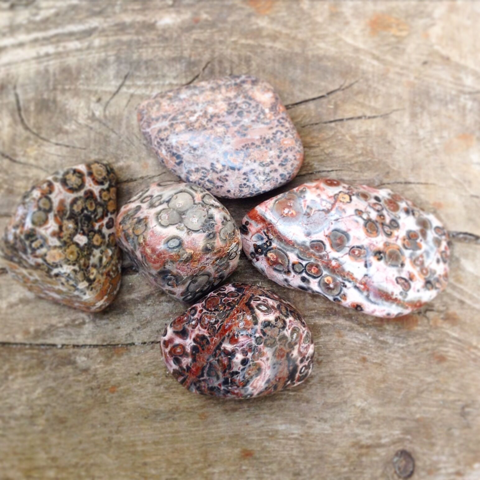 EXTRA LARGE 26-36mm Tumblestones