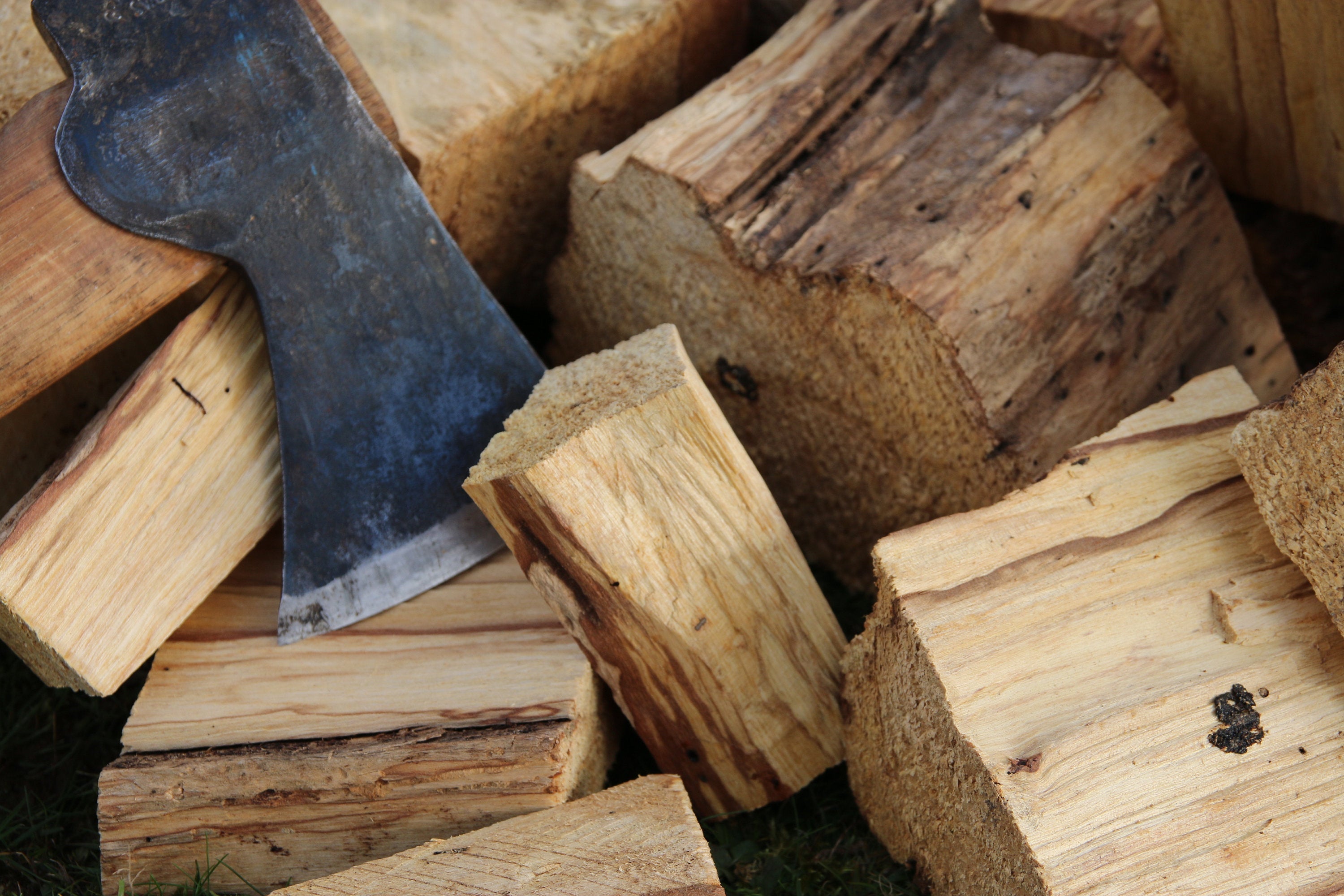 Palo Santo (Bursera graveolens) Log Pieces